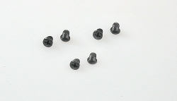 Montageschraube Kreuzschlitz f.Bison/Hippo (PH0) M2,5 Flachkopf (6)